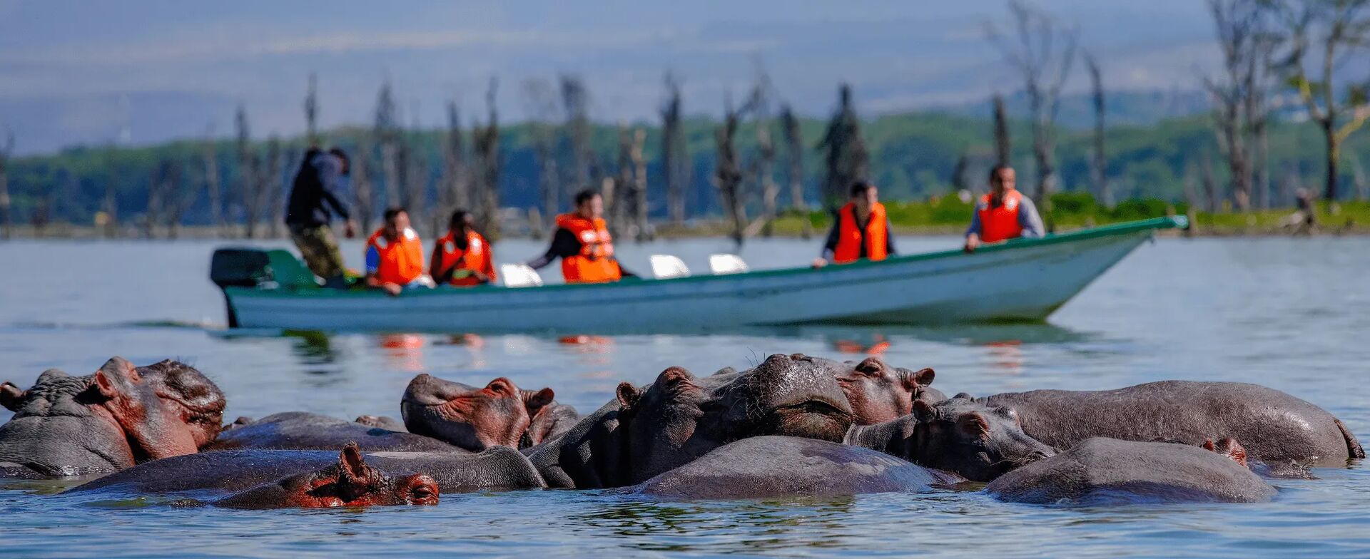 From Nairobi to Naivasha’s water and birds