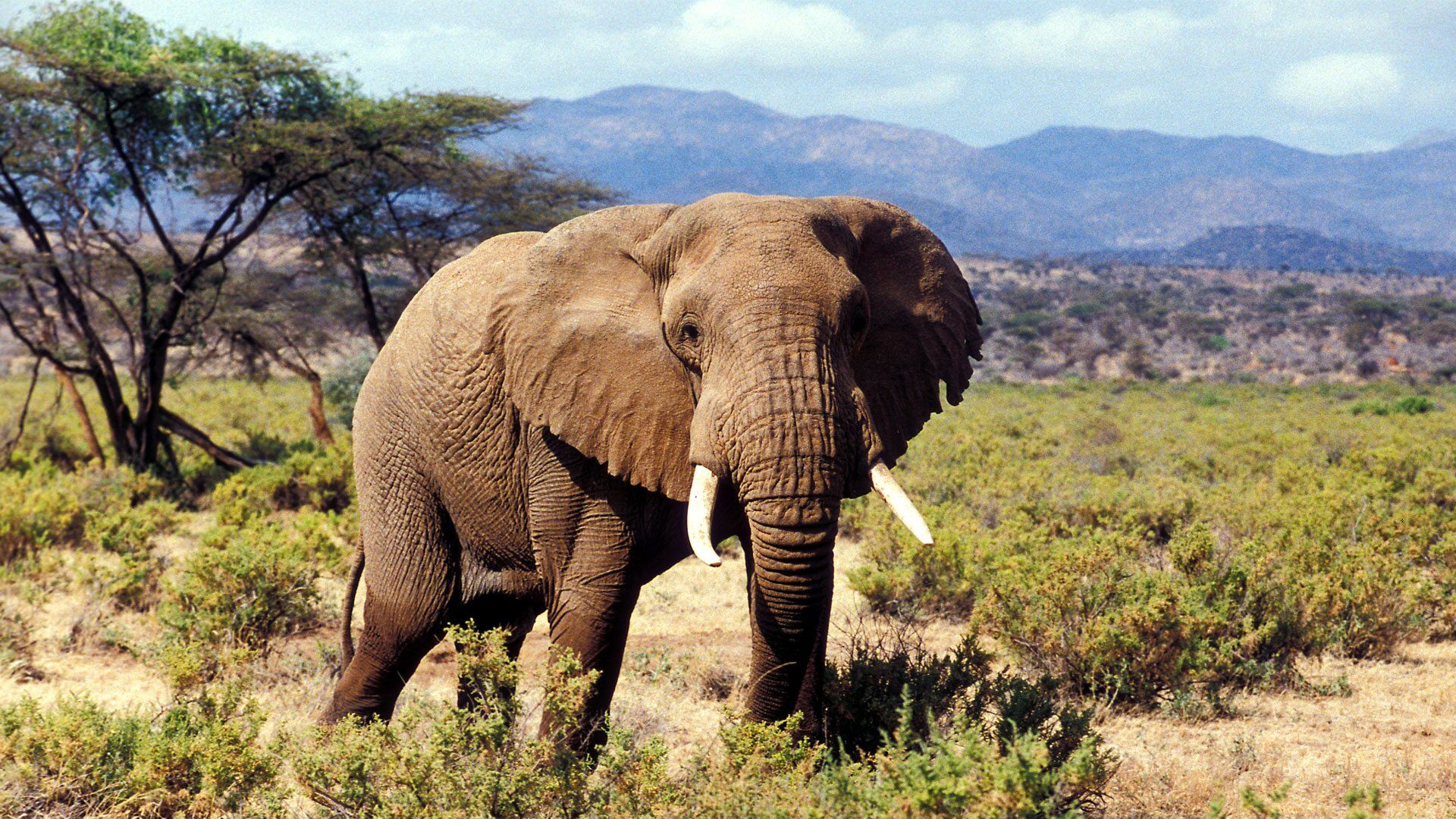 North Past Mount Kenya