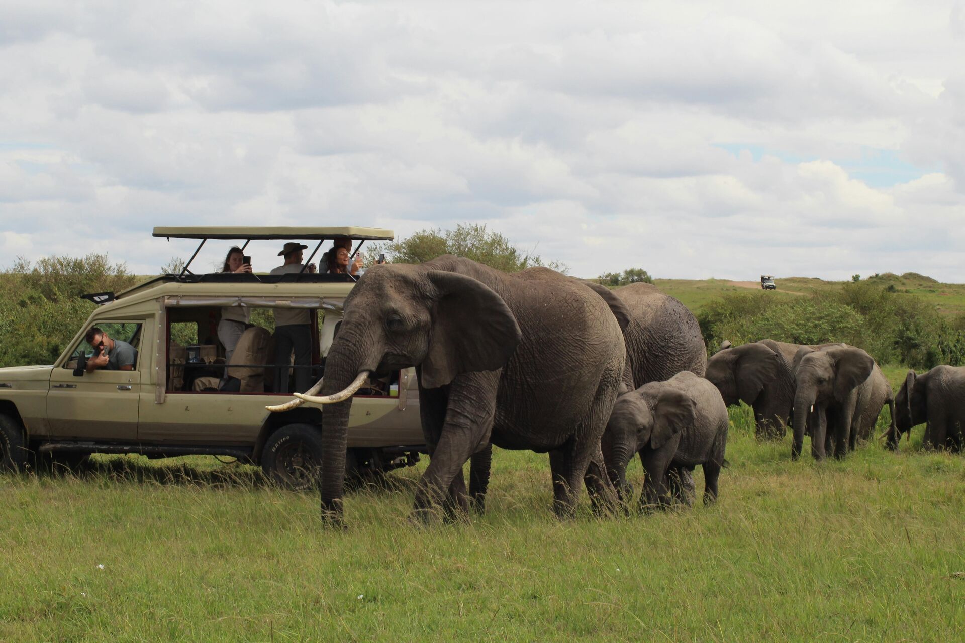 Short safaris (6 to 8 days)