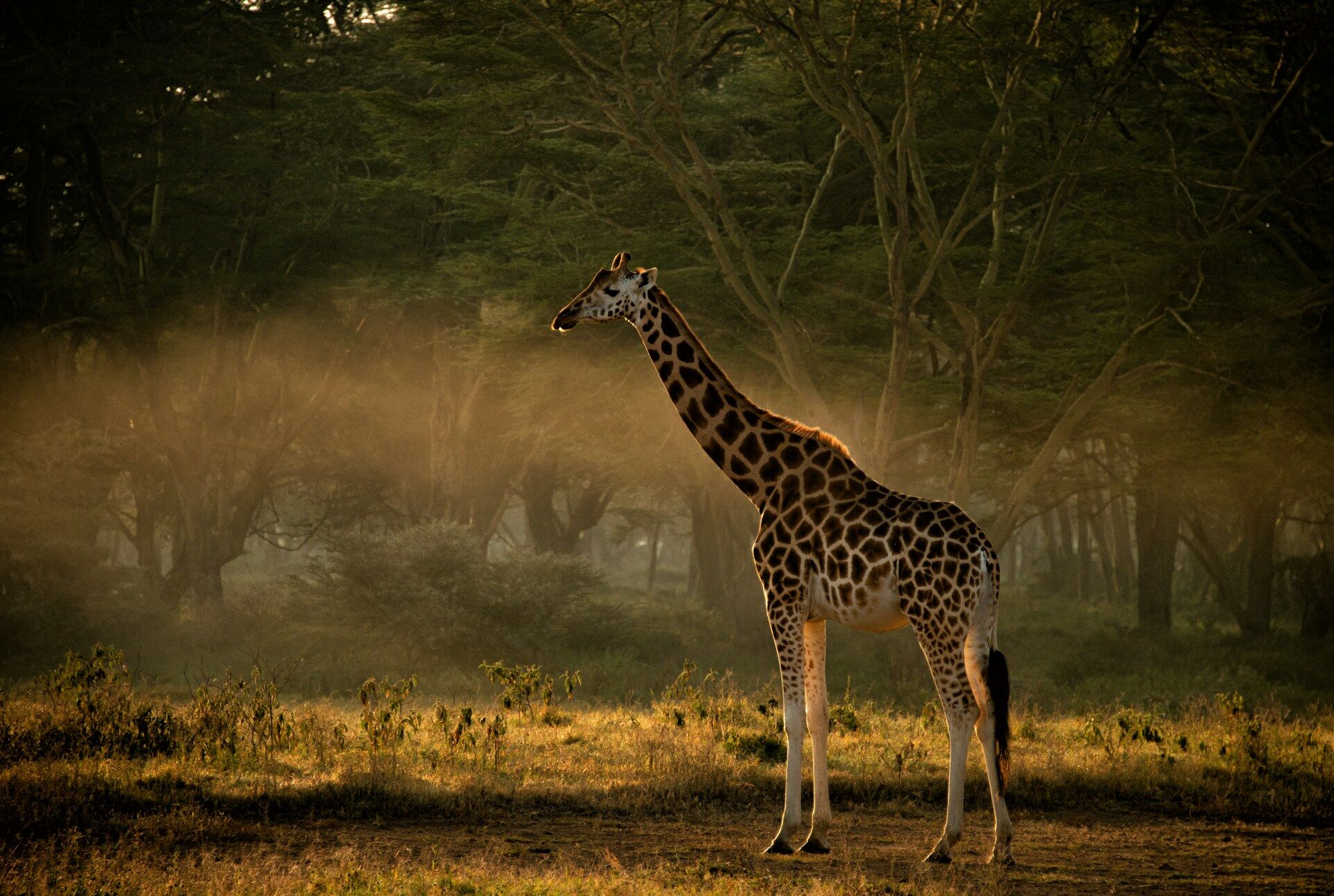 West to the Lake Nakuru Sanctuary
