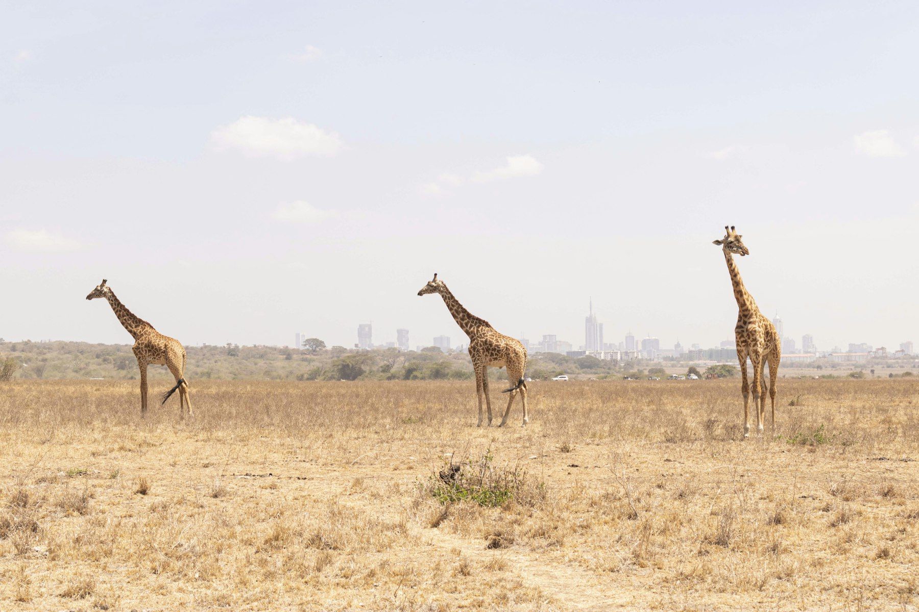 Nairobi, Kenya