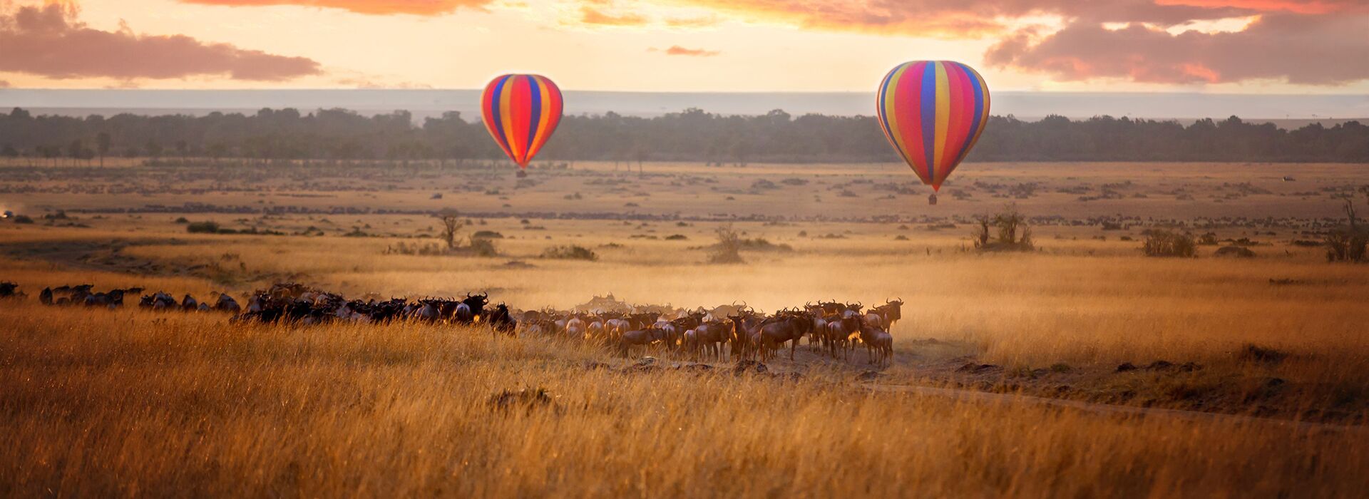 The Mara Your Way