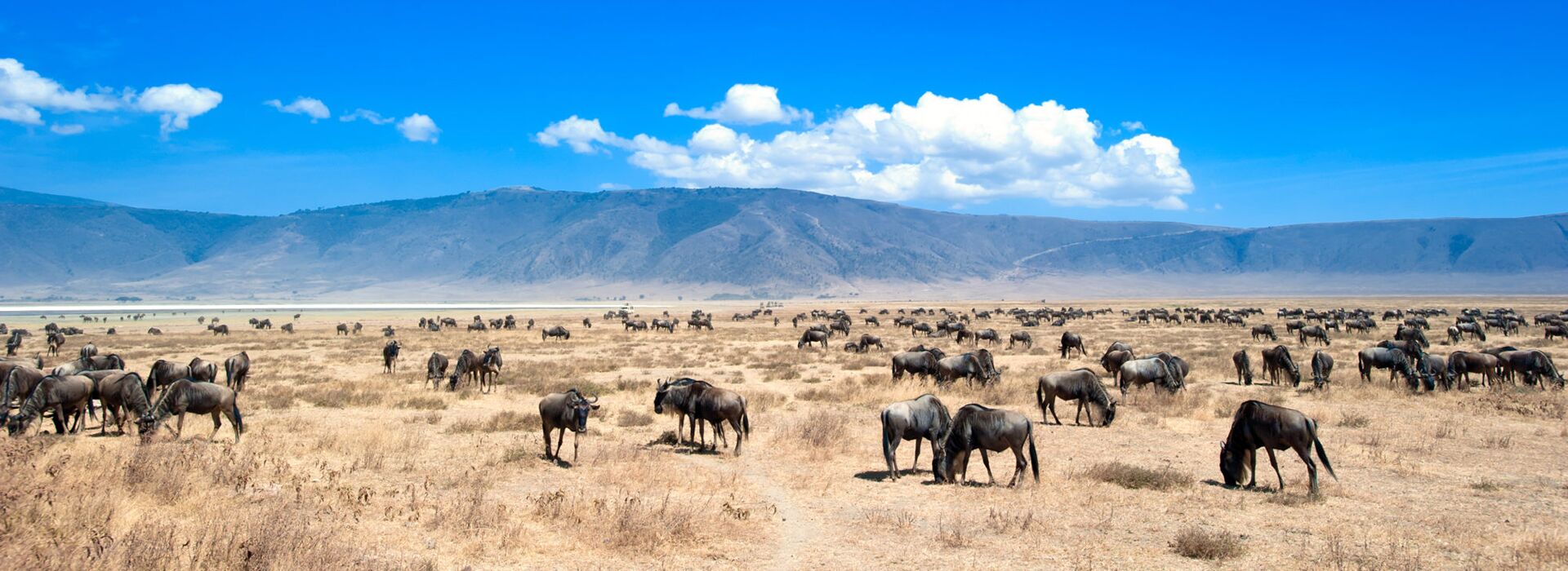 Ngorongoro Crater, Tanzania