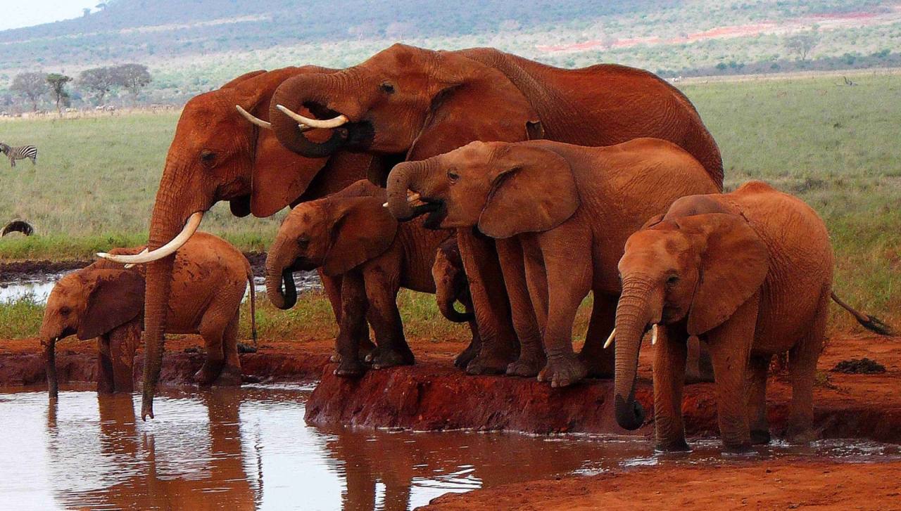 Nairobi, Kenya
