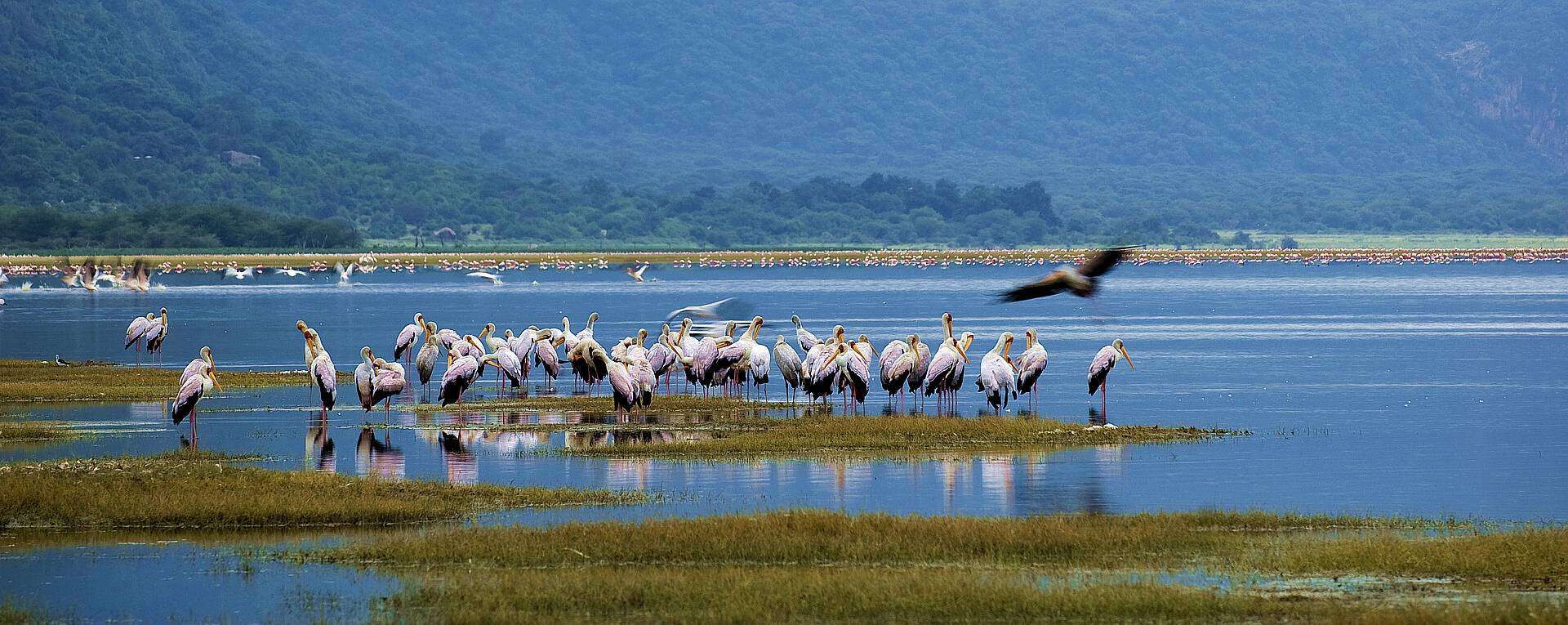 Lake Manyara, Tanzania — safari destination