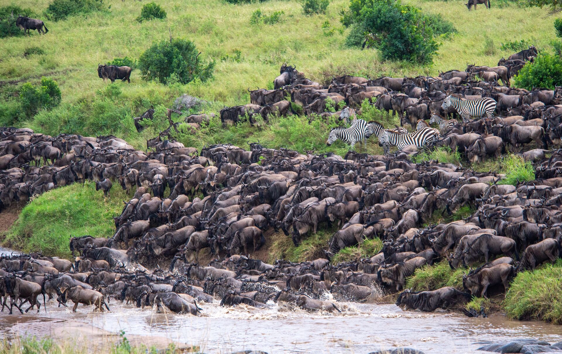 Maasai Mara, Kenya