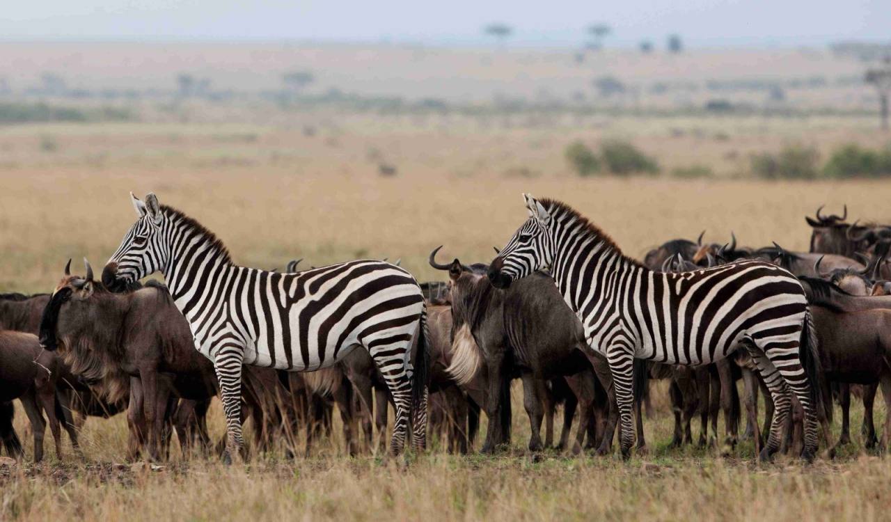 East Africa Trails cover photo