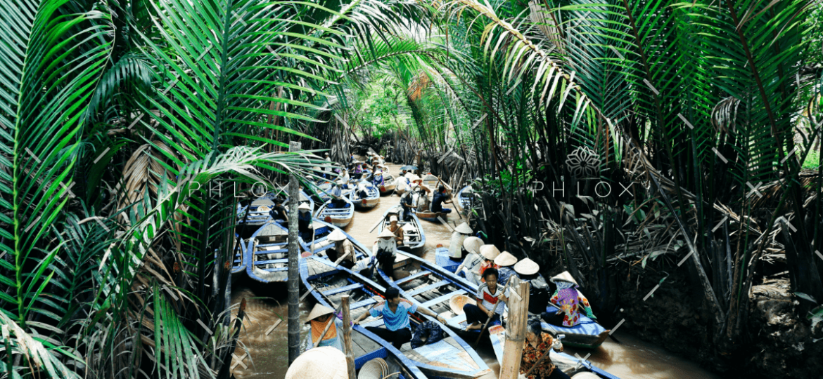 demo-attachment-1604-image-6