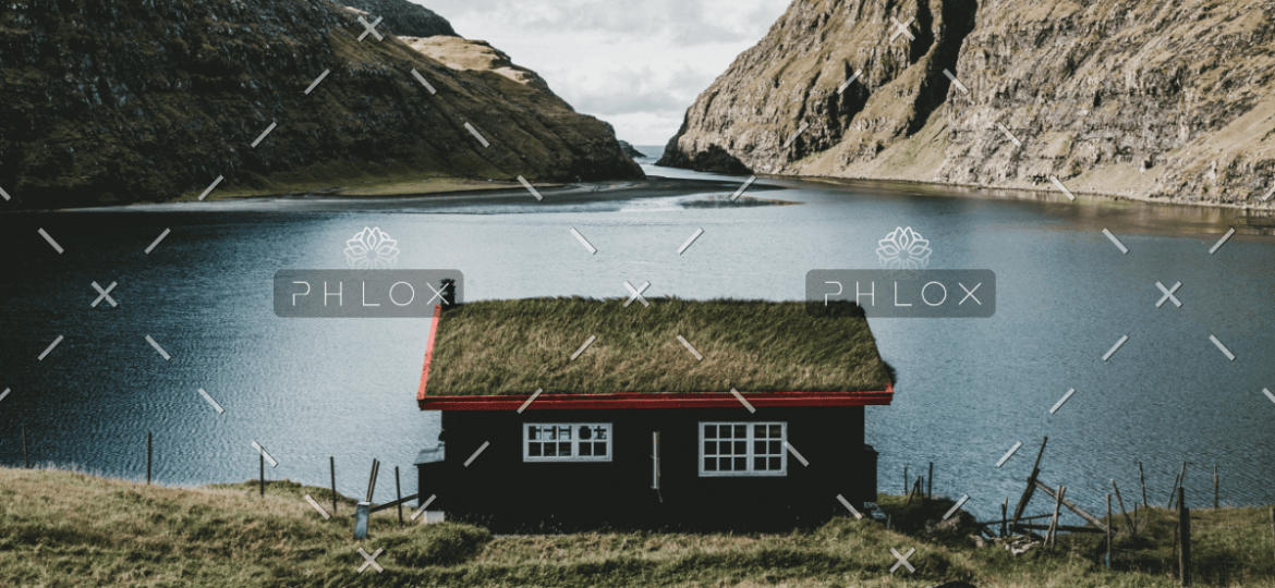 demo-attachment-1605-media