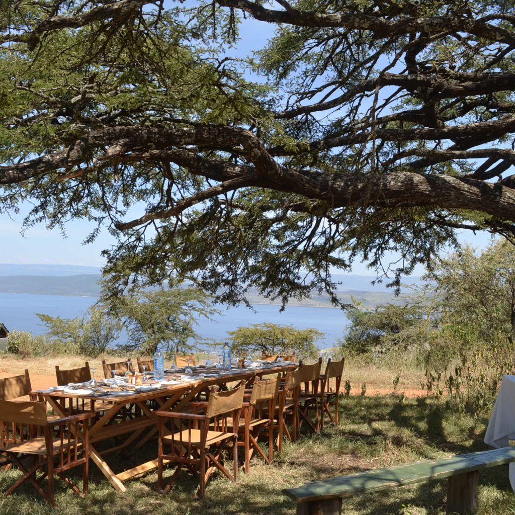 Mbweha Camp