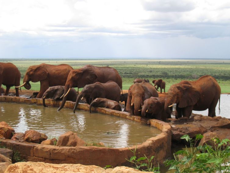 Voi_Safari_Lodge